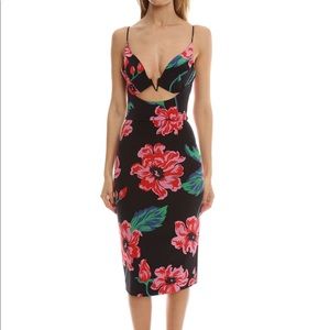 Nicholas Floral V Wire Dress